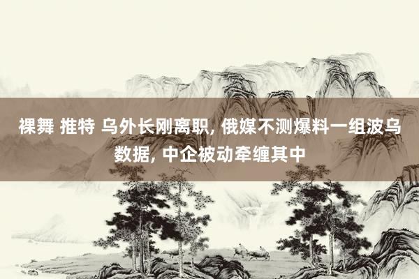 裸舞 推特 乌外长刚离职, 俄媒不测爆料一组波乌数据, 中企