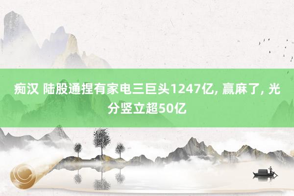 痴汉 陆股通捏有家电三巨头1247亿， 赢麻了， 光分竖立超50亿
