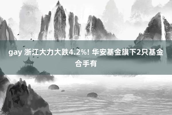 gay 浙江大力大跌4.2%! 华安基金旗下2只基金合手有